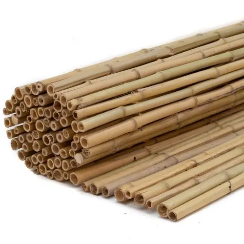 Bamboe rolscherm Dalian 35x200 cm Merkproduct