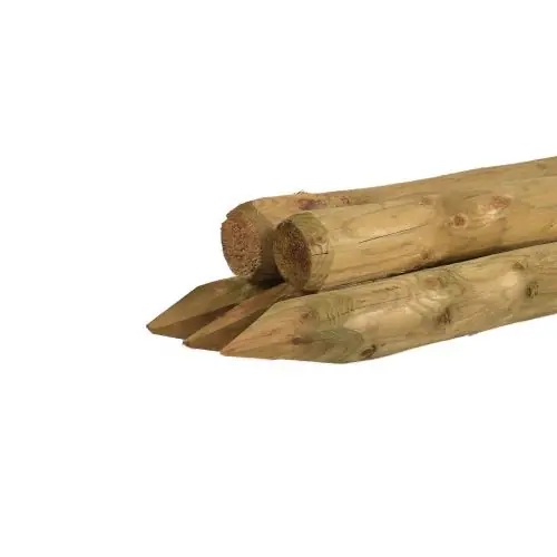 Betrouwbaar Ronde paal vuren geschild kop groen geïmpregneerd Ø10x180 cm