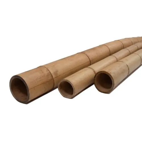 Tuinpaal Bamboe 10-12x300 cm Hete Deal