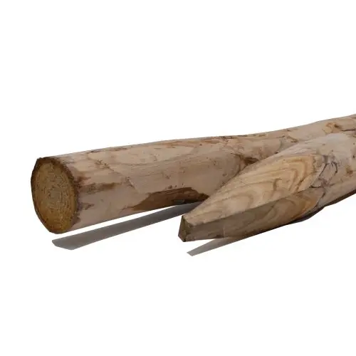 Speciale Aanbieding Kastanjehouten palen 8-10x300 cm