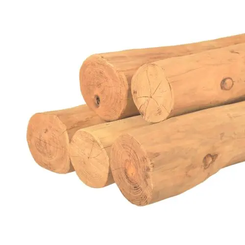 Ronde paal robinia spintvrij geschuurd Ø15-19x100 cm Voordeelprijs