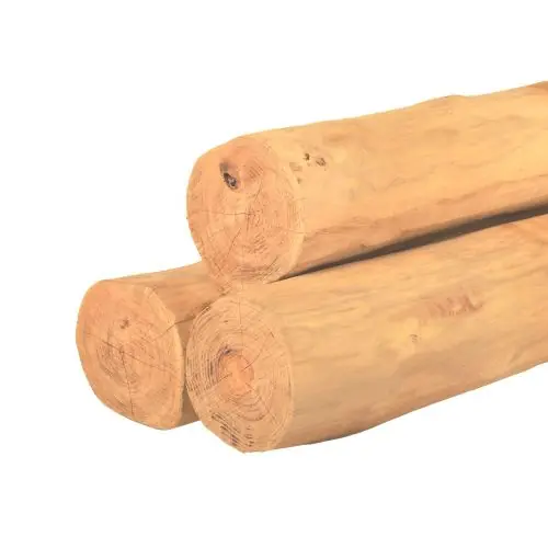 Exclusieve Aanbieding Ronde paal robinia spintvrij geschuurd Ø20-24x300 cm