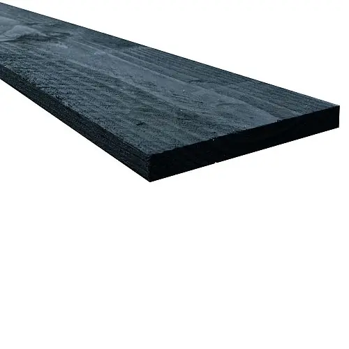 Douglas fijnbezaagde potdekselplank 2,2x20x500 cm zwart gespoten Koop Vandaag