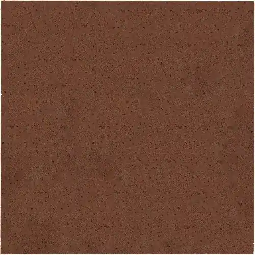 Schellevis Oudhollands Tegel 100x100x5 cm Roodbruin Direct Verzonden