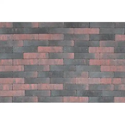 Lage Kosten Tremico Waalformaat 20x5x6 cm Rood/Zwart