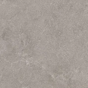 Koopje Vloertegel/Wandtegel Navale Rarestone Grijs Stonelook 60x120