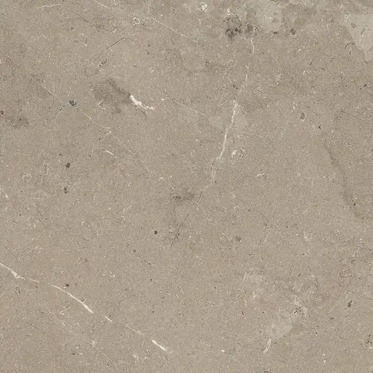 Vloertegel/Wandtegel Gazzini Freistil Stonelook Taupe Grijs 60x60 Populair