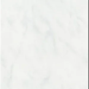 Betrouwbaar Wandtegel Rako Marmo Wit Grijs Glans Marmerlook 20x25