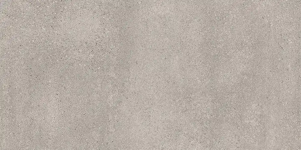 Speciale Aanbieding Vloertegel/Wandtegel Rak Paleo Grey Grijs Mat 60x120