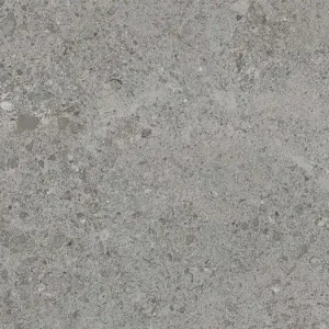 Laatste Kans Vloertegel/Wandtegel Valence Authority Grey Grijs Mat 60x60