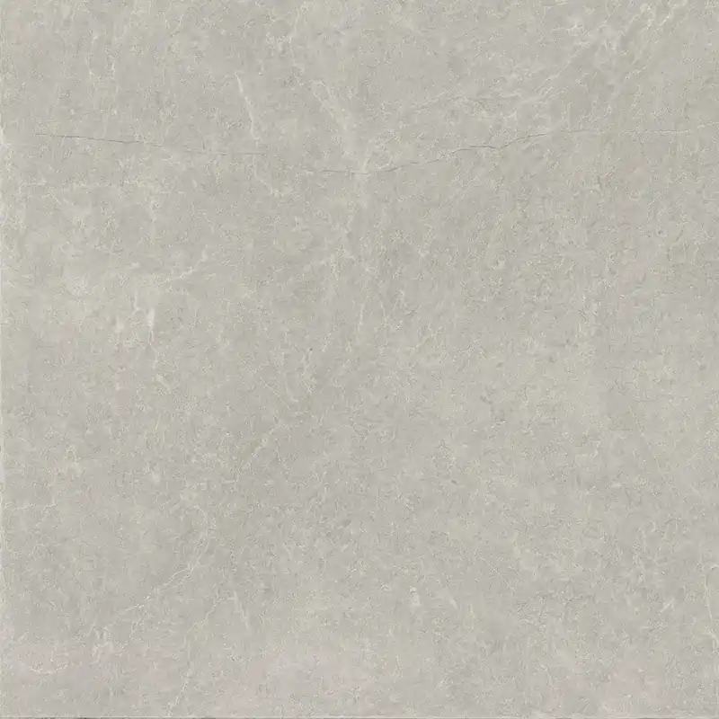 Alleen Vandaag Vloertegel/Wandtegel Douglas Utopia Light Grey Lichtgrijs Geaderd Mat 60x60