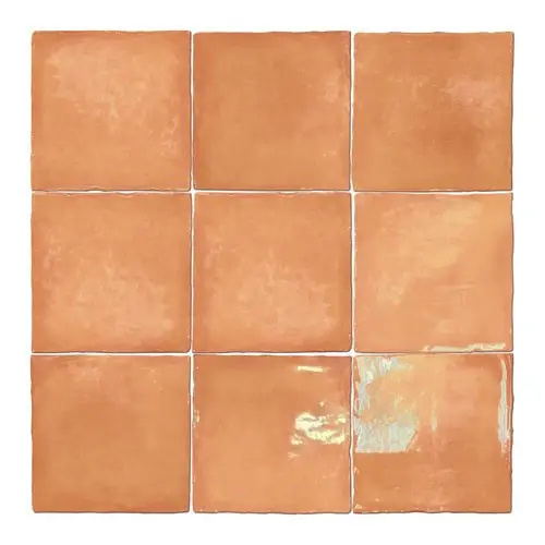 Wandtegel Agostino Brume Handvorm Terracotta Oranje Glans 13x13 Bestseller