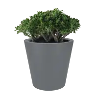 Elho pure straight round 50 beton (lxbxh)50x50x51 Veilige Betaling