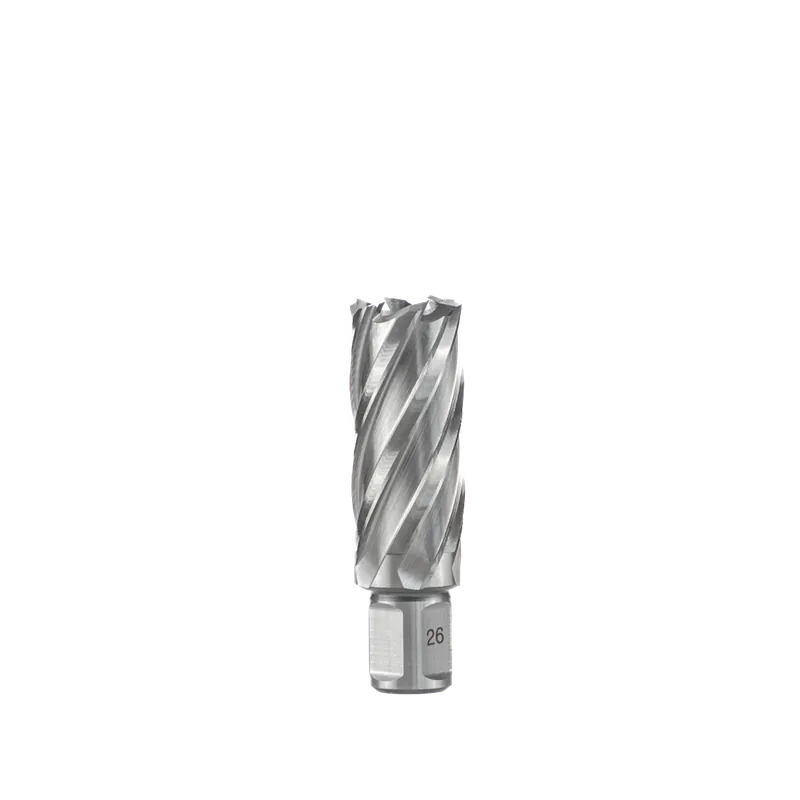 Euroboor HSS Kernboor 32mm x 100mm Speciale Aanbieding