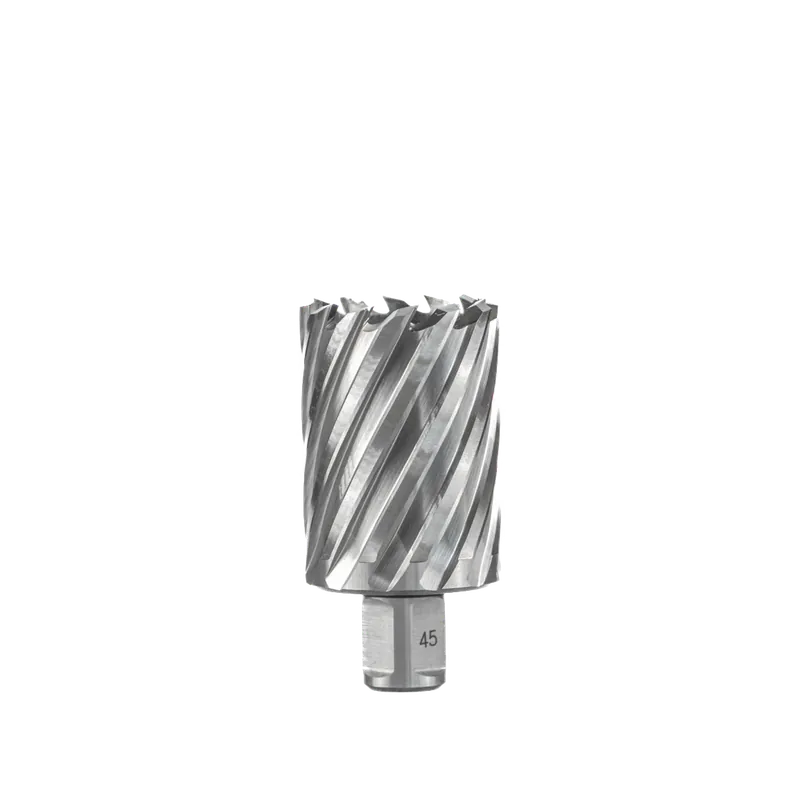 Aanbieding Euroboor HSS Kernboor 46mm x 100mm