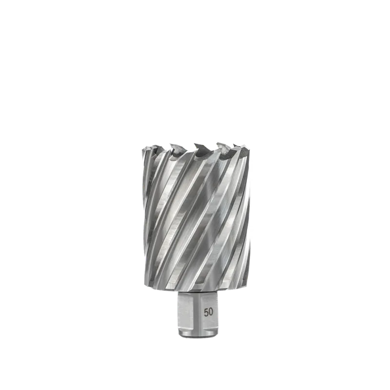 Euroboor HSS Kernboor 49mm x 100mm Meest Verkocht
