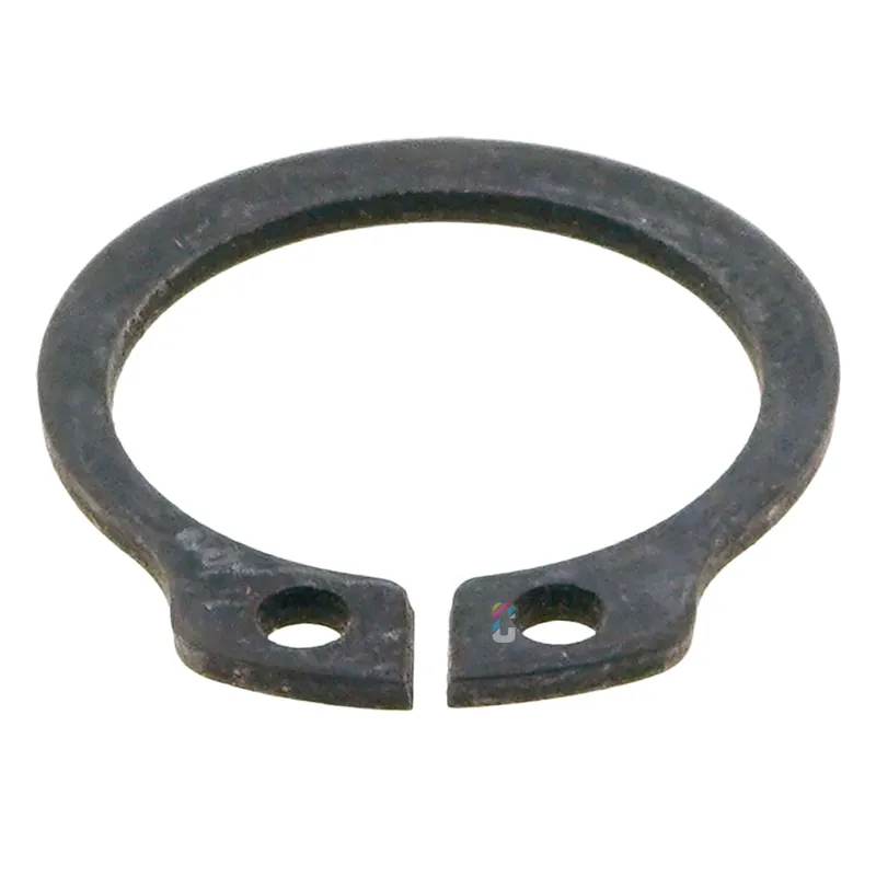 RUPES Ring GL-LT-LH-LT Snelle Levering