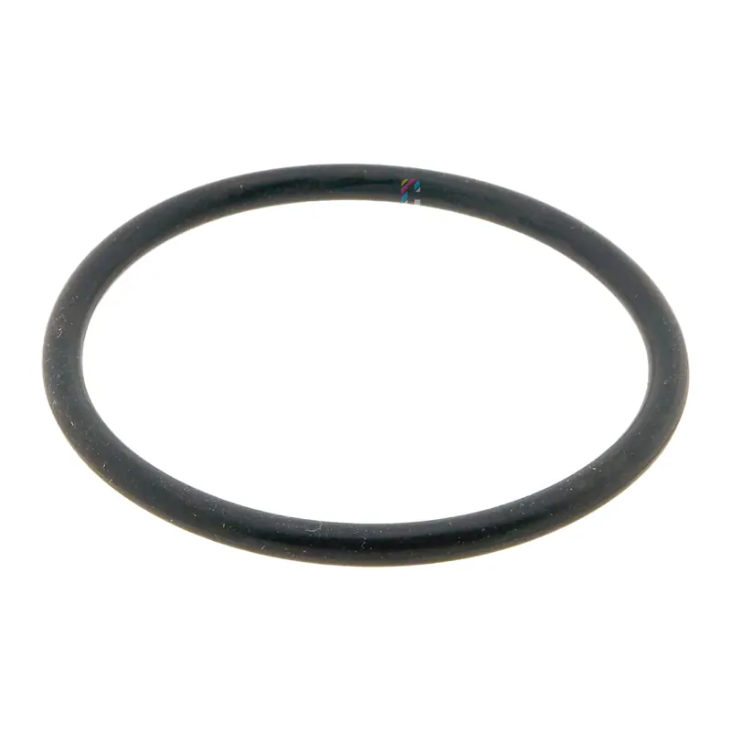 Betaalbaar RUPES O-Ring HLR75