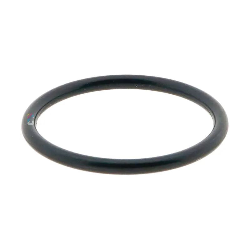 RUPES O-Ring LS-LE-LR21-71 HSS-HSE-HSR73 Actieprijs