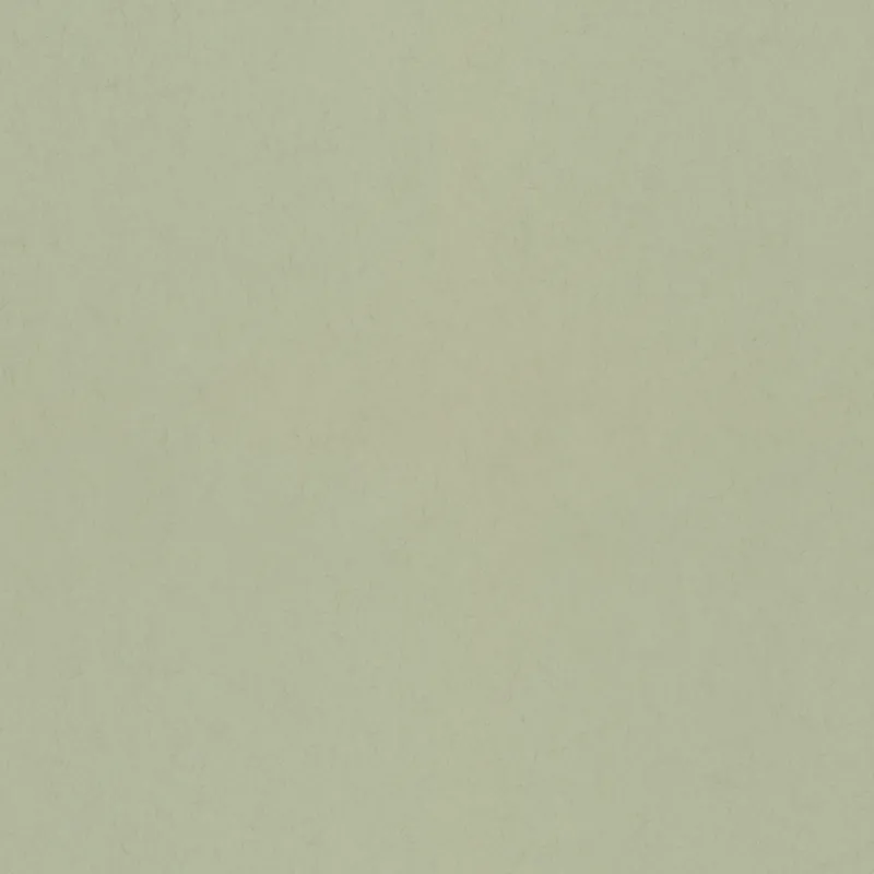 Weekendaanbieding Dutch Wallcoverings Fägring - Uni - Pistachio
