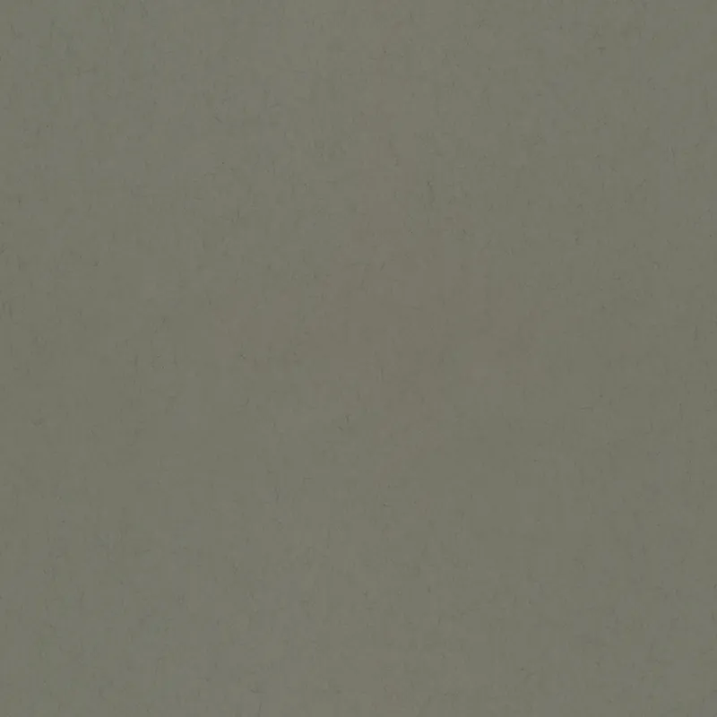 Shop Nu Dutch Wallcoverings Kulör - Uni Needle