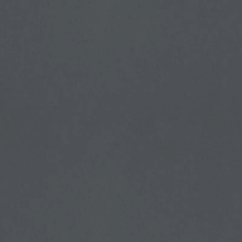 Bestseller Dutch Wallcoverings Kulör - Uni Blackbird