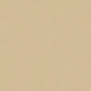 Dutch Wallcoverings Sauvage/British H. Uni - Beige Laatste Kans