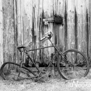 Tijdelijk Beschikbaar Noordwand Farmlife Fotobehang oude fiets zwart-wit - 3750016