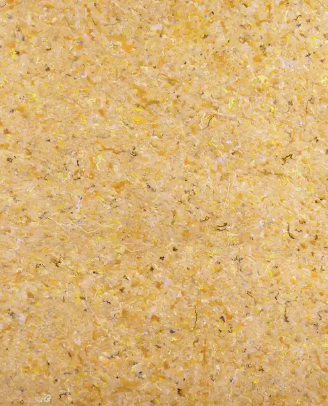 Betaalbaar Eijffinger Felt - 350814