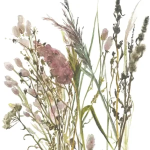 Uitverkoop Marburg Fotobehang aquarel droogbloemen boeket - 35798