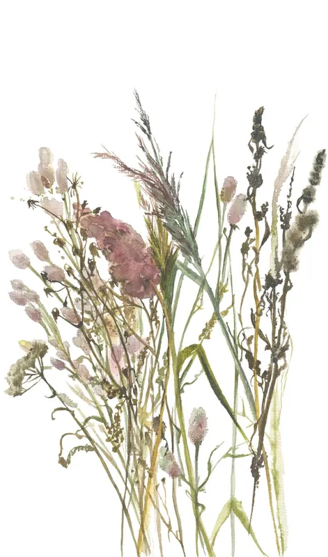 Uitverkoop Marburg Fotobehang aquarel droogbloemen boeket - 35798