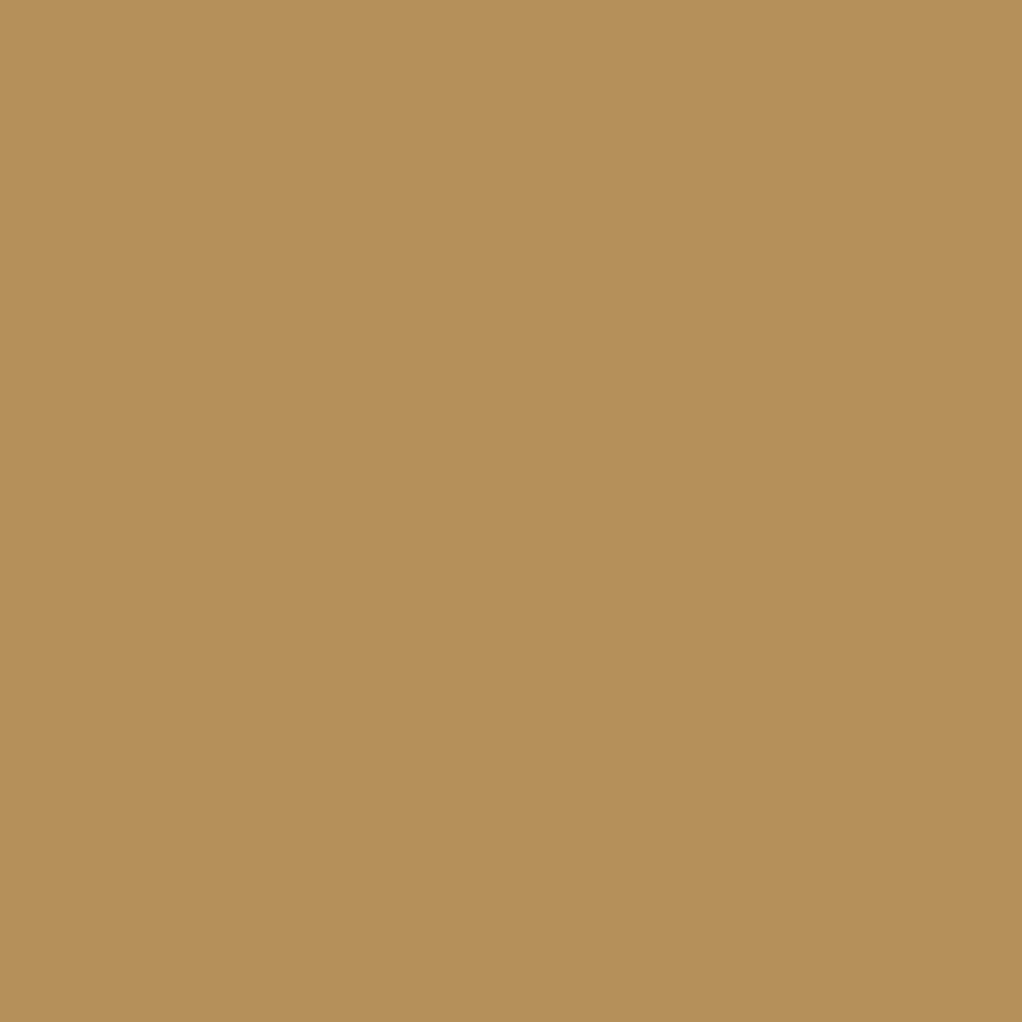 Histor MY color - Tan Your Hide Beperkte Voorraad