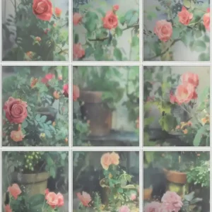 Alleen Vandaag Dutch Illusion - M899-04 - Rozen/Ruit Groen/Roze