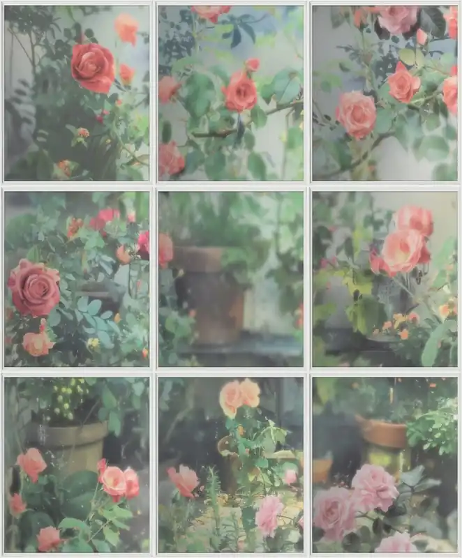Alleen Vandaag Dutch Illusion - M899-04 - Rozen/Ruit Groen/Roze