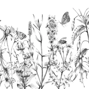Snelle Levering Noordwand Komar Colours Fotobehang Butterfly Field - X8-1085