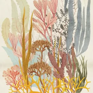 Uitverkoop Komar Infinity 2 Fotobehang Catchy Corals - IF2-028