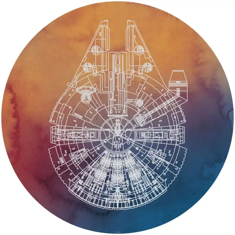 Veilige Betaling Komar Into Adventure; Komar Dots Behangcirkel Star Wars - Millennium Falcon - DD1-027