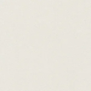AS Creation Pure Elegance - 29731-0 Direct Verzonden