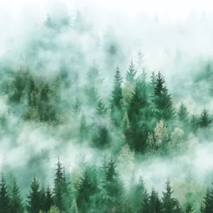 Koopje Noordwand Smart Art Easy Fotobehang bos in de mist 47267