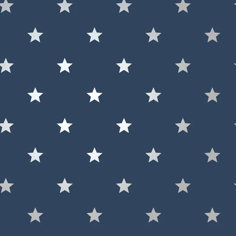 Snelle Levering Dutch First Class World of Imagination - DL27584 - Starry Motif Navy/Silver