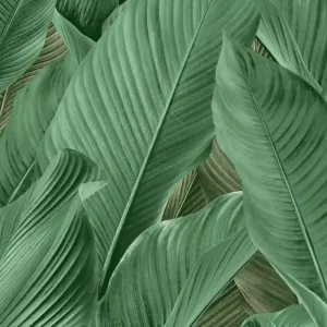 Voordeelprijs Dutch Tahiti - Banya groen - 13304