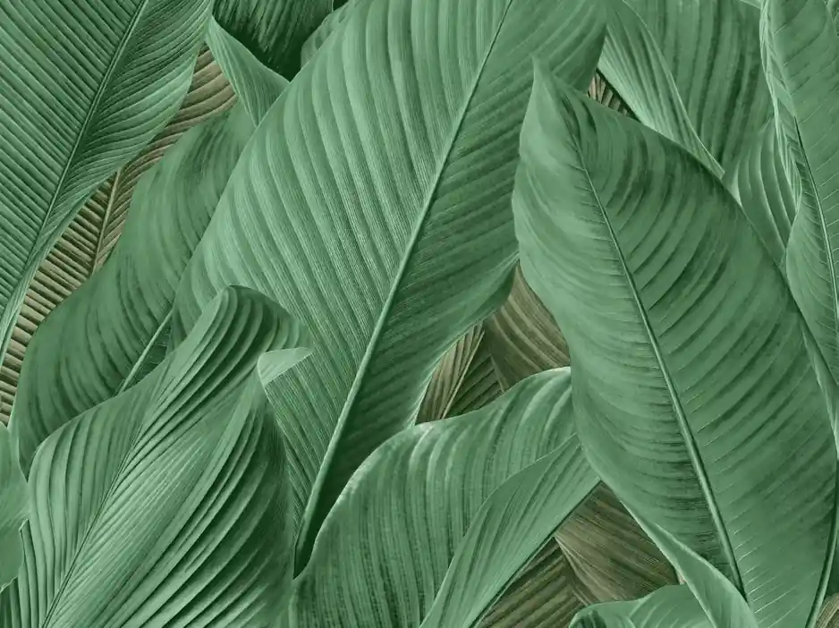 Voordeelprijs Dutch Tahiti - Banya groen - 13304