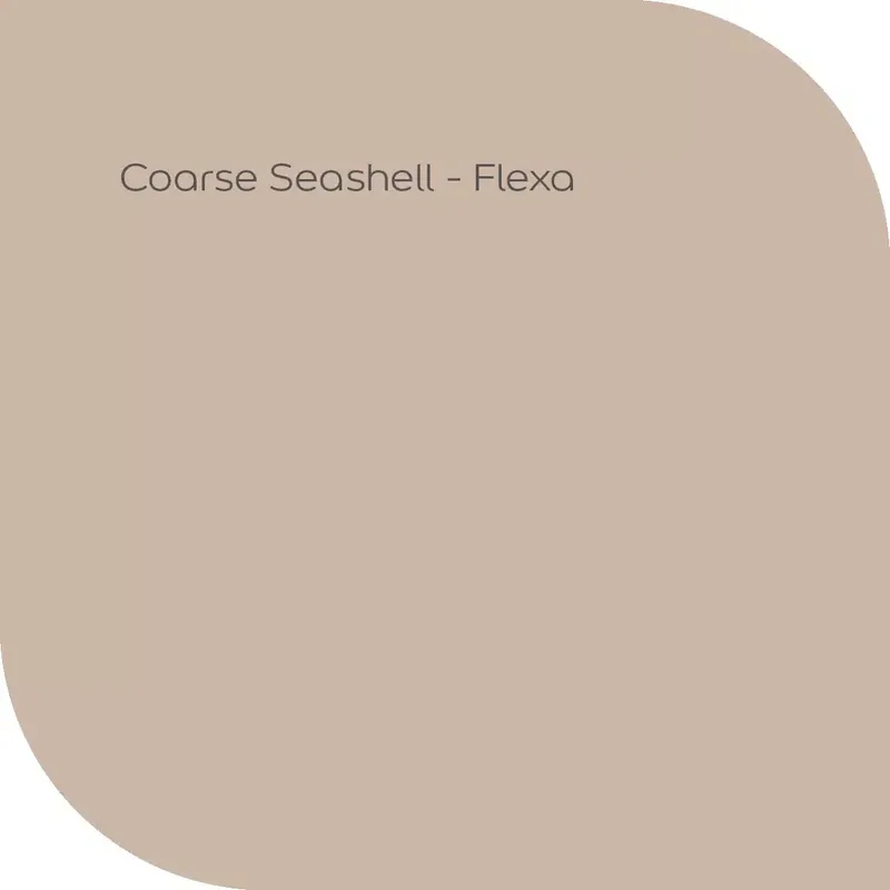 Coarse Seashell Flitsaanbieding