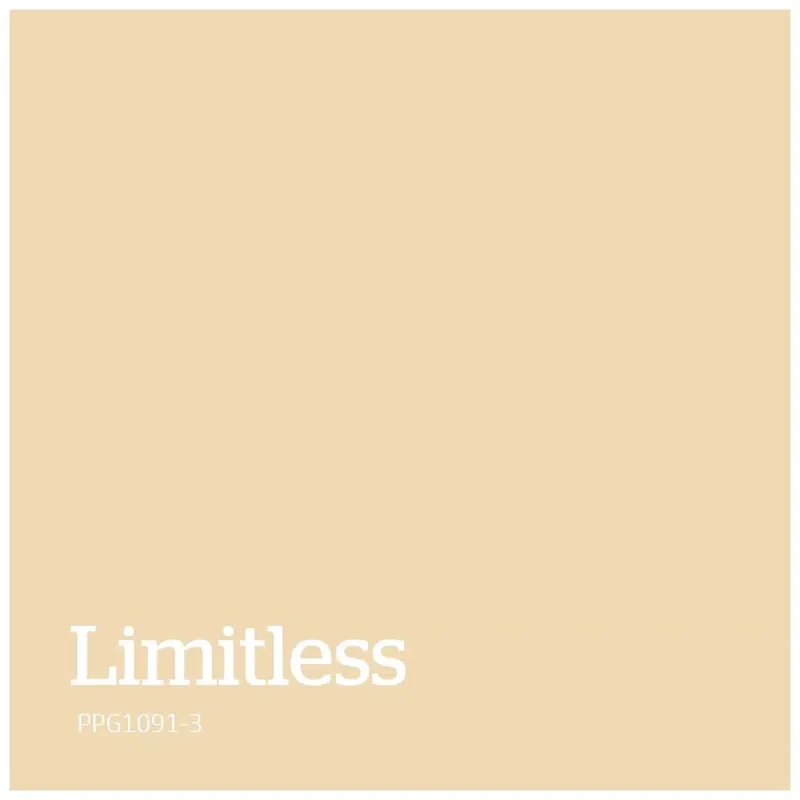 Exclusieve Aanbieding PPG1091-3 – Limitless