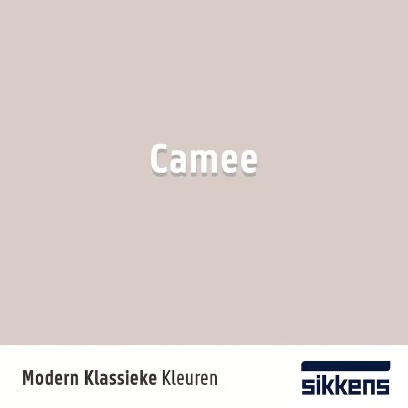 Fabrieksprijs Camee