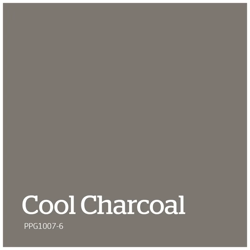 Actieprijs PPG1007-6 – Cool Charcoal