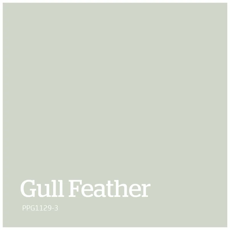 PPG1129-3 – Gull Feather Exclusieve Aanbieding