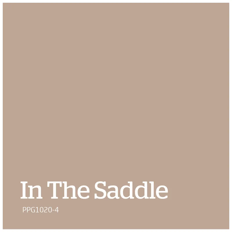 PPG1020-4 – In The Saddle Beste Prijs