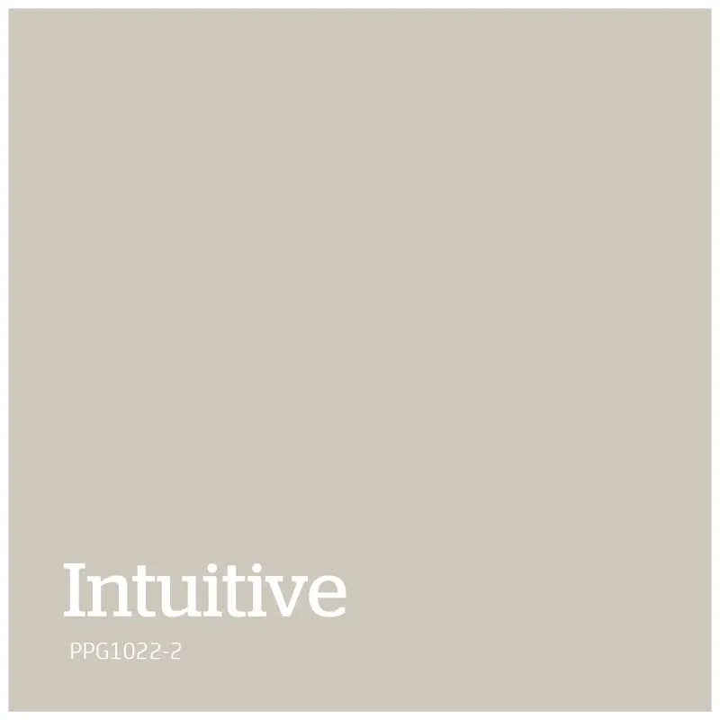 Beperkte Voorraad PPG1022-2 – Intuitive