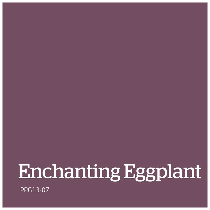 PPG13-07 – Enchanting Eggplant Tijdelijk Beschikbaar